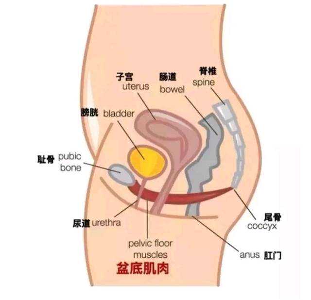 苏州优质试管婴儿医院推荐与预算指南