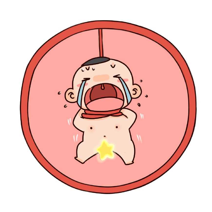 苏州借卵生子医院及代怀产业深度解析，优质试管婴儿机构推荐